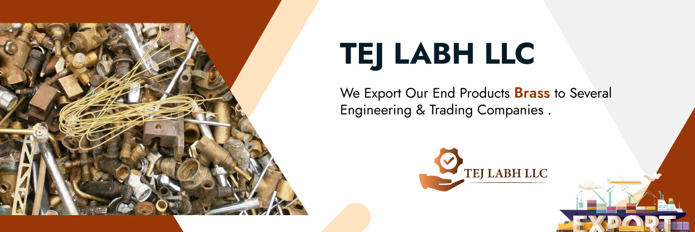 TEJ LABH LLC