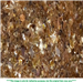 Shipping "Brown PET Flakes Unwashed" from "Apapa"