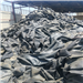 Supplying “Rubber Tube Scrap” 100 MT | Jeddah Port | CFR | TT 