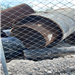 1,000 MT of Steel Pipe Scrap Available for Sale Sourced from the Bahamas 