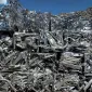 Canada Scrap Prices - Aluminum Extrusion