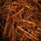 Canada Scrap Prices - No.2 Copper