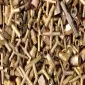 Canada Scrap Prices - Red Brass