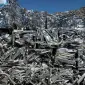 Us Scrap Prices - AL Extrusion