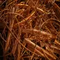 Us Scrap Prices - Copper No.2