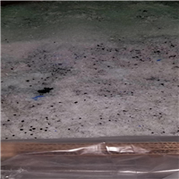 Polyethylene | 