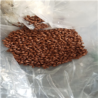 Polypropylene | 