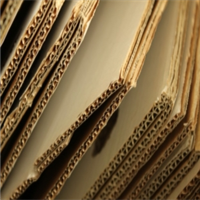Cardboard | 