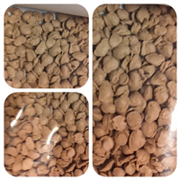 PolyVinylChloride | 