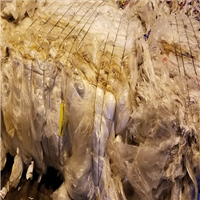 LDPE | 