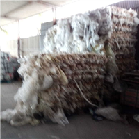 LDPE | 