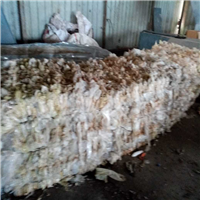 LDPE | 