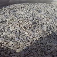 Polypropylene | 