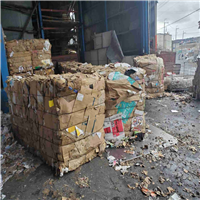 Cardboard | 