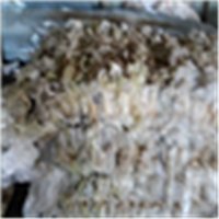 LDPE | 