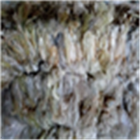 LDPE | 