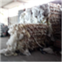 LDPE | 