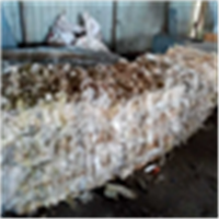 LDPE | 