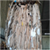 Cardboard | 