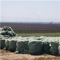 LDPE | 