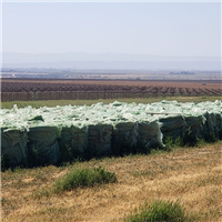 LDPE | 