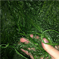 LDPE | 