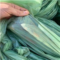 LDPE | 