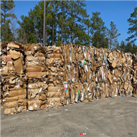 Cardboard | 