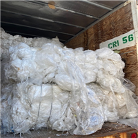 LDPE | 