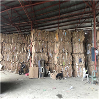 Cardboard | 