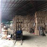Cardboard | 