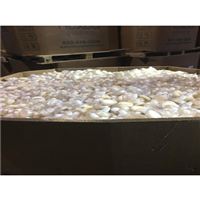Polycarbonate | 