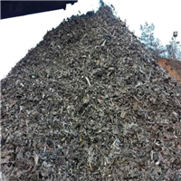 Scrap Metal | 