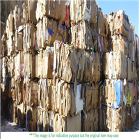 Cardboard | 