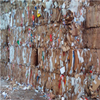 Cardboard | 