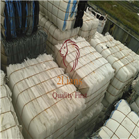 Polypropylene | 