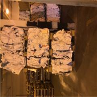 Polypropylene | 
