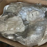 Polypropylene | 