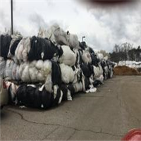 LDPE | 