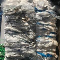 LDPE | 