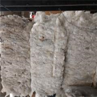LDPE | 