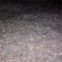 LDPE | 