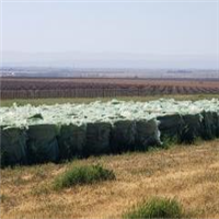 LDPE | 