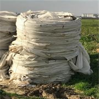 LDPE | 