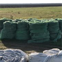 LDPE | 