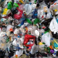 LDPE | 