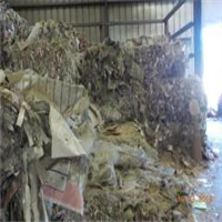 Polypropylene | 