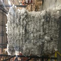LDPE | 
