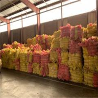 LDPE | 