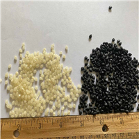 Polypropylene | 